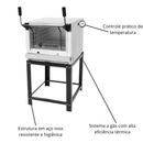 Forno de Lastro a Gás Inox Roma FIRI60 Venâncio Profissional