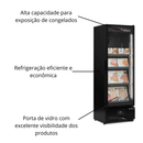 Visa cooler Congelados Freezer Expositor Carbono 445 Litros Gelopar