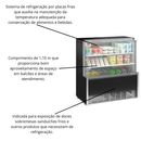 Vitrine Refrigerada 1,10m 2 placas frias Gelopar